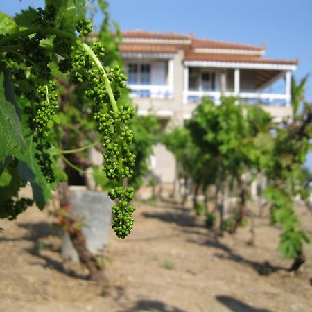 Alex - Nancy Apartments - Zaga Beach Koroni  Exterior foto