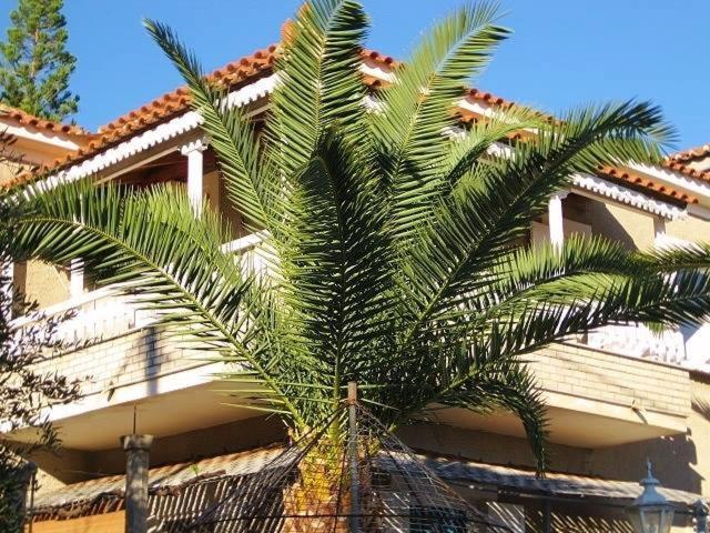 Alex - Nancy Apartments - Zaga Beach Koroni  Exterior foto
