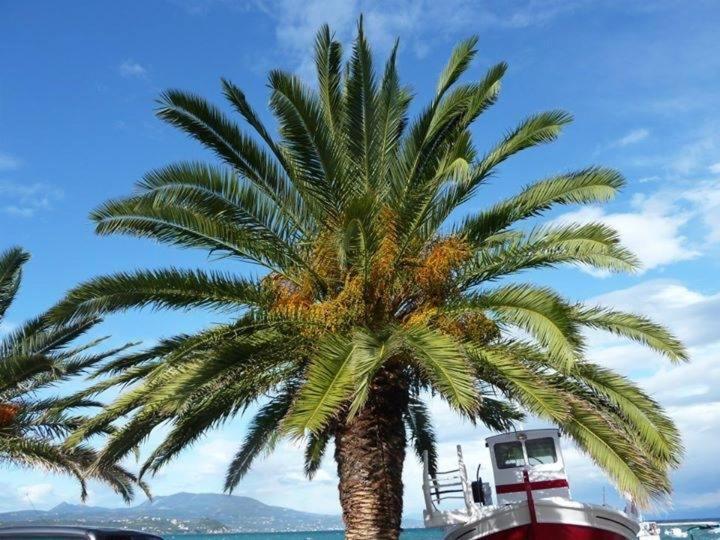 Alex - Nancy Apartments - Zaga Beach Koroni  Exterior foto
